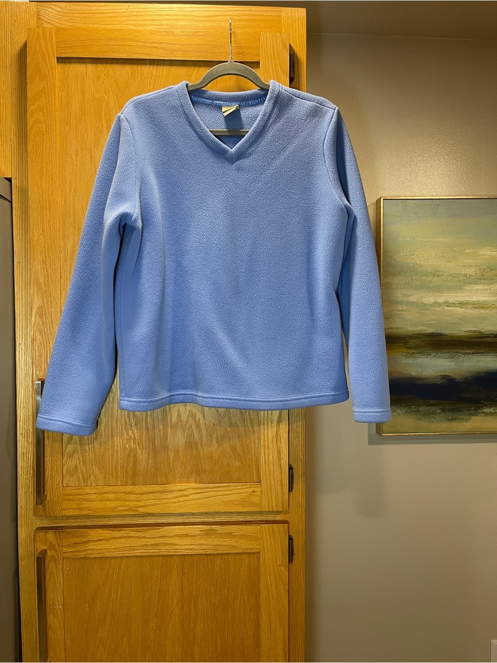 1999 Vintage Light Blue V-Neck Fleece Pullover | Size L | Cozy Outdoor Sweater